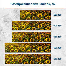 Наклейка на кухонний фартух 60 х 200 см, з захисною ламінацією, поле з соняхами, фото 3
