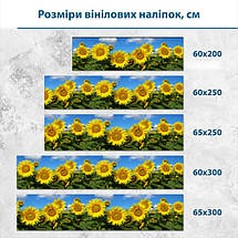 Наклейка на кухонний фартух 60 х 200 см, з захисною ламінацією, соняхи на фоні неба, фото 3