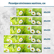 Наклейка на кухонний фартух 60 х 200 см, з захисною ламінацією, білі ромашки серед зеленої трави, фото 3