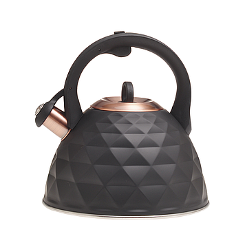 Чайник з нержавіючої сталі Kamille KM-0867 3л зі свистком і ручкою