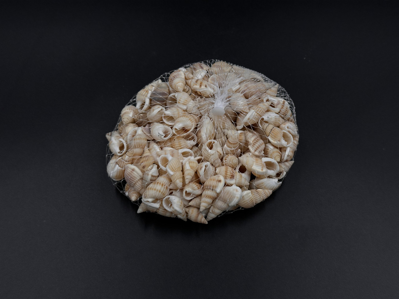 Набір морських ракушок. 80грам