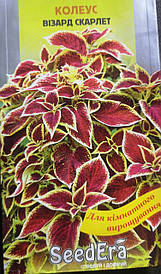 Колеус Візард Скарлет 10шт