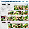 Кухонна панель жорстка ПЕТ, Самофіксуюча 68 х 305 см (товщина 2,0 мм) італійські вулочки, фото 2