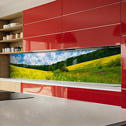 Кухонна панель жорстка ПЕТ, Самофіксуюча 62 х 205 см (товщина 1,2 мм) Гірська галявина кульбабок