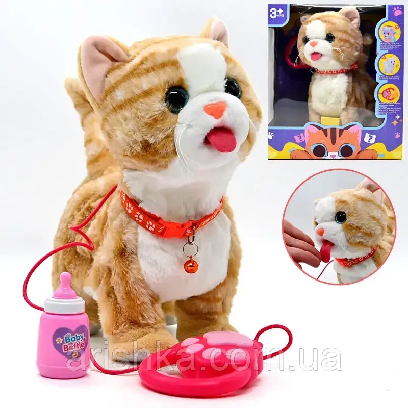 Кіт м'який на повідку ,який ходить, облизує, співає, повторює