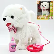 Собачка м'яка на повідку Шпіц ,яка ходить, облизує, співає, повторює