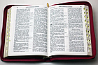 Біблія українською мовою переклад Огієнко з пошуковими індексами шкірозамінника маленького формату 13*18 см, фото 6