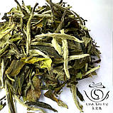 Чай білий Бай Му Дань, Фудін, 2024 Весна, фото 3