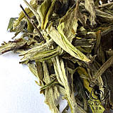 Чай білий Бай Му Дань, Фудін, 2024 Весна, фото 4