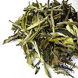 Чай білий Бай Му Дань, Фудін, 2024 Весна, фото 2