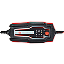 Потужний зарядний пристрій Vitals Master Smart 3000 : 6.0 / 12.0V, 4А, 4–120 Ah (182531), фото 8
