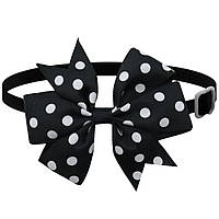 Бантик на шию для собак та котів one size чорно-білий