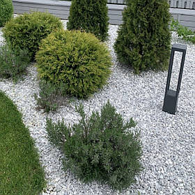 Камінь для клумб біло-голубий "Доломіт" (ціна за 1 кг від1 тони)