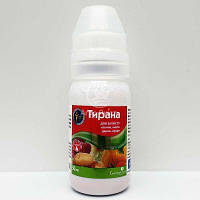 Тирана 50 мл, Сімейний сад