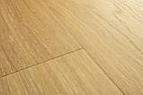 Вініловий ламінат Q-ST Alpha Vinyl BLOOM Дуб чистий медовий AVMPU40098, фото 2
