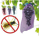 Сітка-мішок,сітка для винограду 28х40 зелена 5кг 50 шт, фото 2