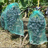 Сітка-мішок,сітка для винограду 28х40 зелена 5кг 50 шт, фото 3