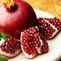 Гранат Гюлоша рожева Р9