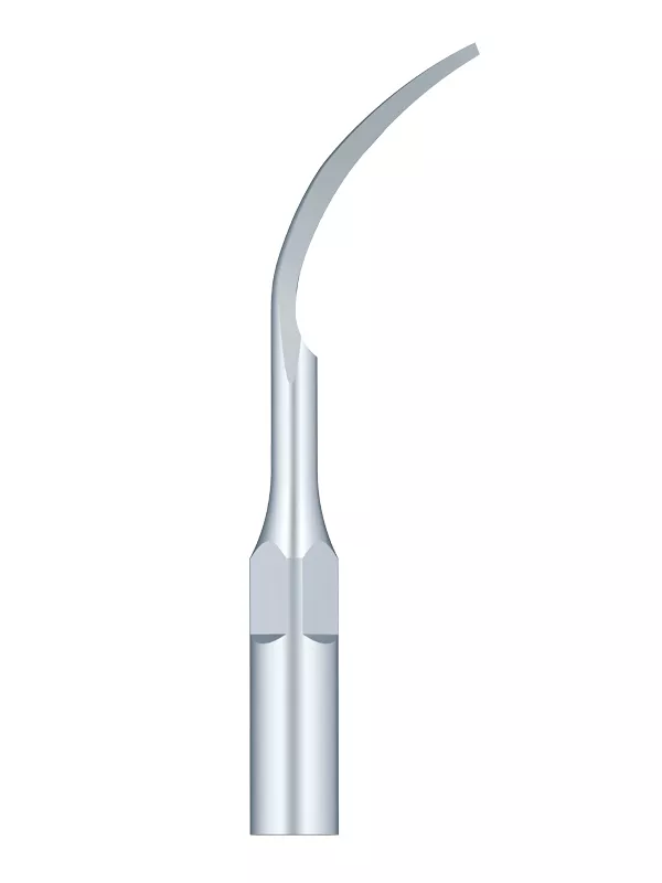 Насадка для скалера P1 WDP001300