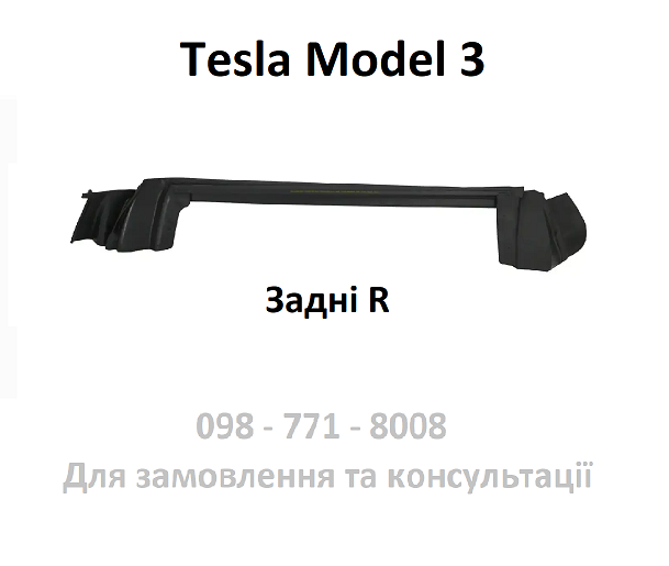 Ущільнювач скла правих задніх дверей Tesla Model 3 (1090504-00-F) задньої правої дверки