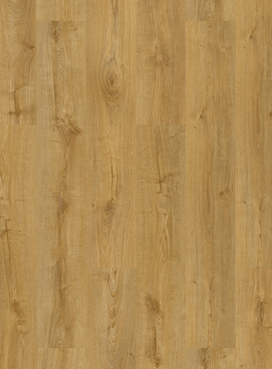 Вінілова плитка Q-ST VINYL FLEX FUSE Дуб осінній натуральний SGMPC20325, фото 1