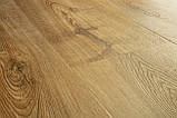 Вінілова плитка Q-ST VINYL FLEX PRISTINE Дуб помірний натуральний ясний SGHBC20332, фото 3
