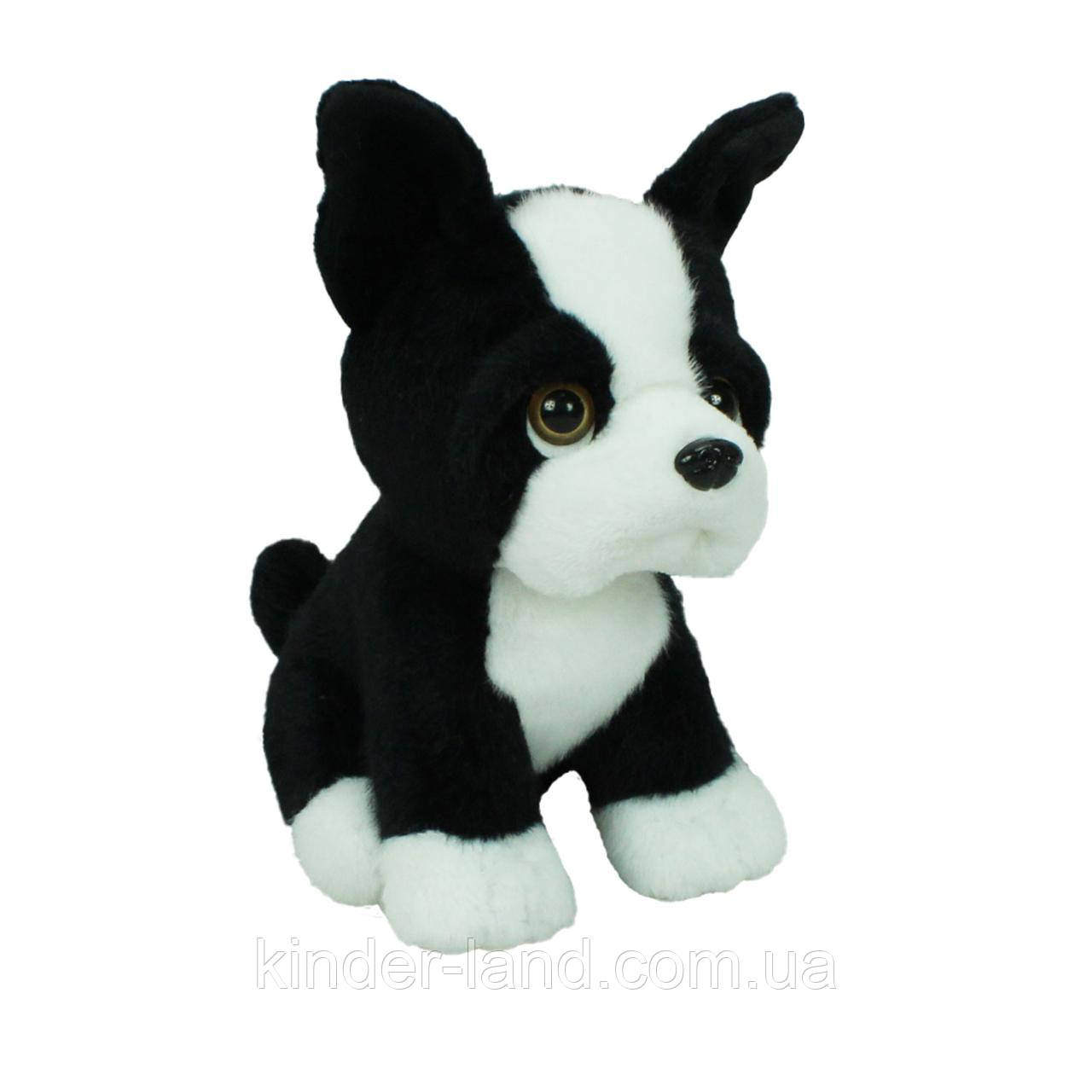 М’яка іграшка, собака Бульдог, 22 см