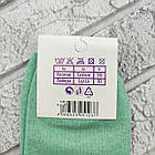 Шкарпетки дитячі середні весна/осінь р.11-12 однотонне асорті Kids Socks by Dukat 30039312, фото 4