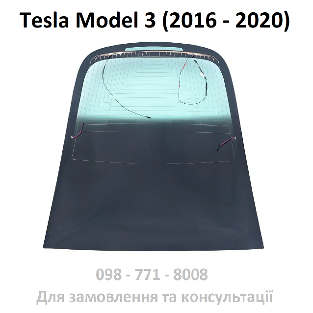 Скло заднє панорама Tesla Model 3 (1472925-00-B) Дорест (2016-2020)