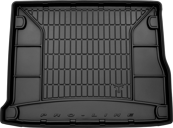 Ковер баг RENAULT Scenic III 2009-2016 / TM548119