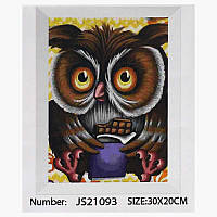 Алмазна мозаїка JS 21093 (50) "TK Group", "Сова", 30х20 см в коробці