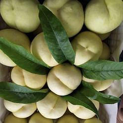 Персик 3-х річний Білий "Айс Піч" (великоплідний)