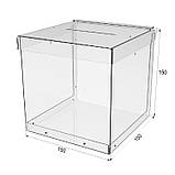 Скринька EKOSTAR  без замка для збору грошей 150x150x150 мм, анкет об'єм 3,3 літрів, фото 3