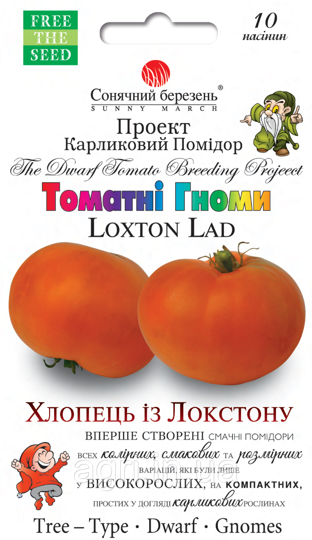 Томат Хлопець з Локстона, 10шт. (Томатні гноми)