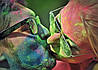 Фарба Холі (Гулал), Зелена, 50 грам, суха порошкова фарба для фестивалів, флешмобів, Фарби холі, фото 8