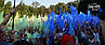 Фарба Холі (Гулал), Голуба, 50 грам, суха порошкова фарба для фестивалів, Фарби холі, фото 6