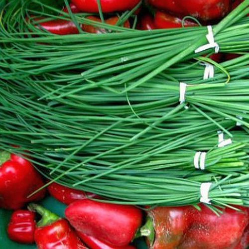 Насіння Цибуля - Шнітт "Ластівка" 0,5 г.