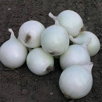 Цибуля Вайт Меджик