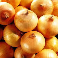 Лук "Луганський" 1г