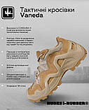 Кросівки Vaneda cayote П39-0!, фото 3
