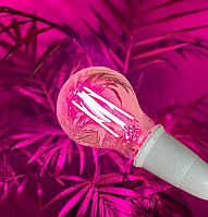 Фітолампа для рослин 8 Вт світлодіодна 300Lm 1200K біколорна під цоколь E27 філаментна А60