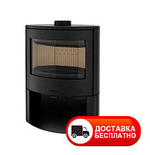 Чавунна піч камін Nordflam Bolonia для дома