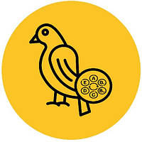 ДЛЯ ДЕКОРАТИВНИХ ПТАХІВ