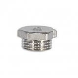 Заглушка Thermo Alliance Forte 1/2" НР SF35315, фото 4