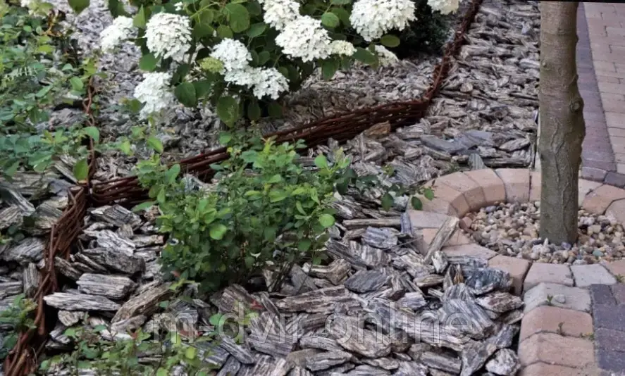 Кам'яне дерево(Гнес), фото 1