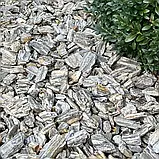 Кам'яне дерево(Гнес), фото 5