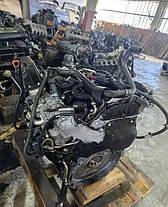 OM651.955 Двигун, фото 4