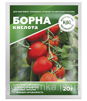Борна кислота 20 г, фото 1