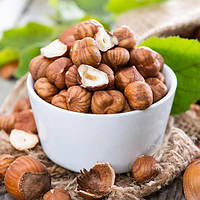 Фундук Каталонський