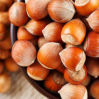 Фундук Косфорд